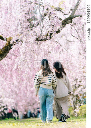 日中線しだれ桜と姉妹の後ろ姿 129934502