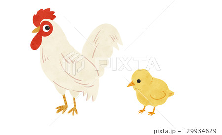 にわとり・ひよこの親子セット　水彩風手描きイラスト 129934629