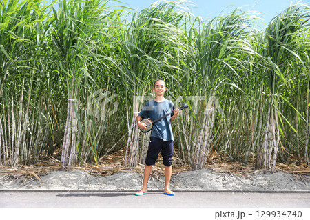 サトウキビと三線 129934740