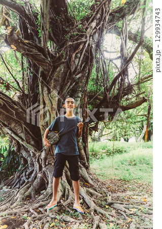 ガジュマルと三線 129934743