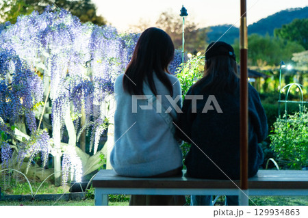 藤の花と姉妹の後ろ姿 129934863