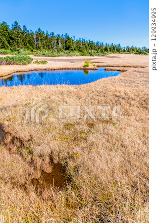 岩手・八幡平 草紅葉の黒谷地湿原 129934995