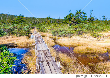 岩手・八幡平 草紅葉の黒谷地湿原 129935001