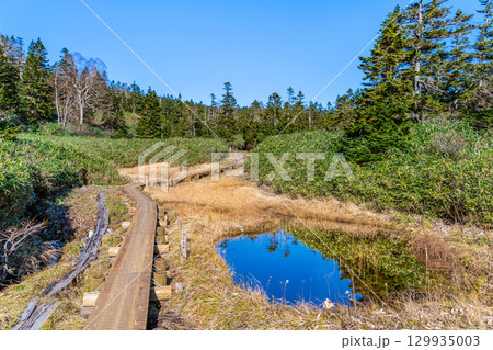 岩手・八幡平 草紅葉の黒谷地湿原 129935003