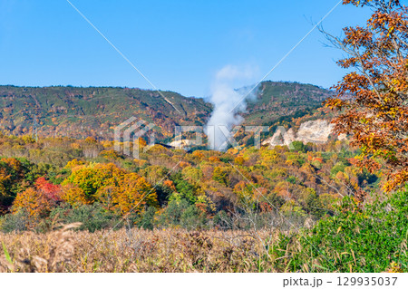 岩手・八幡平 秋の御在所湿原 129935037