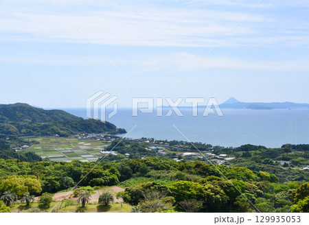 霧島が丘公園の塔から見た開聞岳と鹿児島湾 129935053