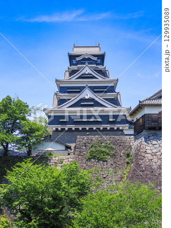 熊本城・天守閣 熊本城・天守閣 129935089