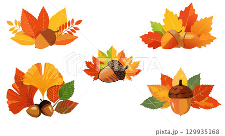 秋の紅葉と落ち葉のイラストセット 129935168
