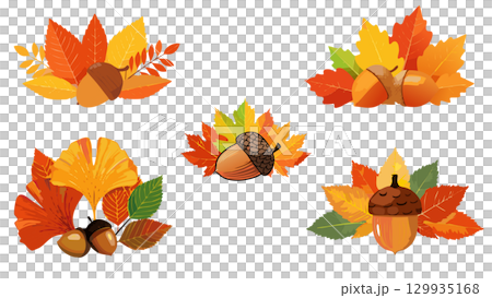 秋の紅葉と落ち葉のイラストセット 129935168