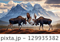 ムース　オスの決闘シーン 129935382