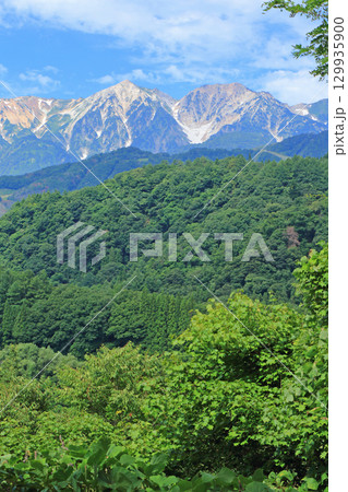 夏の白馬連峰 129935900