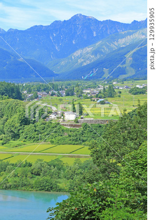 白馬の夏　田園と北アルプス 129935905