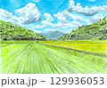 稲穂が実る晩夏の里山 129936053