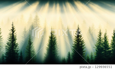 Misty forest landscape at sunrise with rays of light illuminating trees, creating serene and tranquil atmosphere 129936551