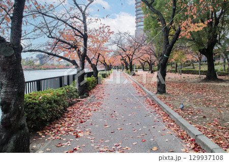 毛馬桜之宮公園（右岸）／大阪府大阪市北区天満橋1丁目 129937108