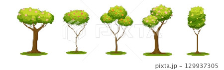 Vibrant mosaic pixel trees for design and game concepts Vibrant mosaic pixel trees for design and game concepts 129937305