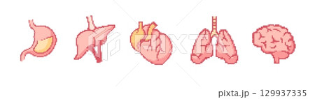 Pixel art mosaic of human organs in retro style Pixel art mosaic of human organs in retro style 129937335