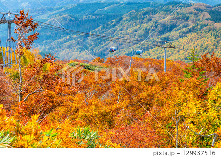 秋田　紅葉に染まる森吉山 129937516