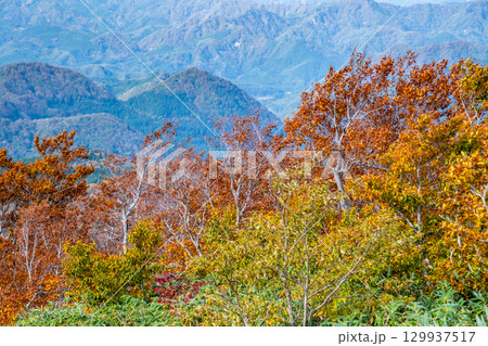 秋田　紅葉に染まる森吉山 129937517