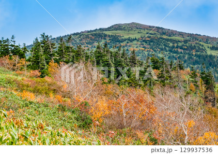 秋田　紅葉に染まる森吉山 129937536