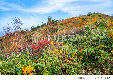 秋田　紅葉に染まる森吉山 129937542