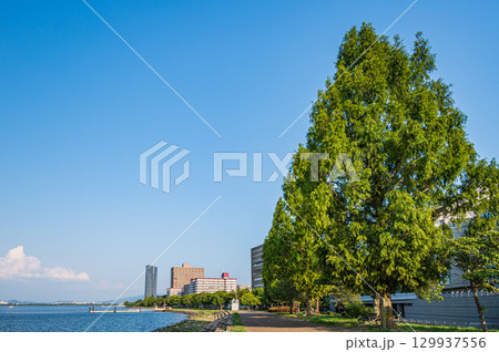 びわ湖なぎさ公園　滋賀県大津市 129937556