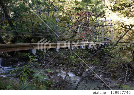 乗鞍高原の三本滝に向かう途中にある吊り橋 129937746