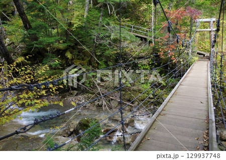 乗鞍高原の三本滝に向かう途中にある吊り橋 129937748