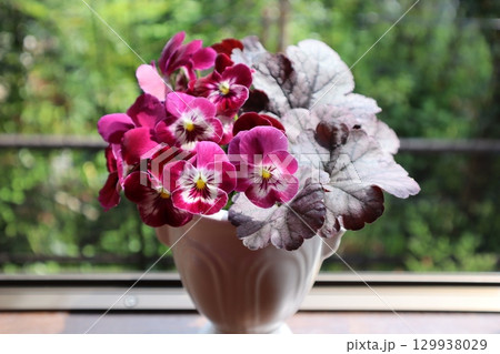 切り戻したビオラとヒューケラを生ける 切り戻したビオラとヒューケラを生ける 129938029