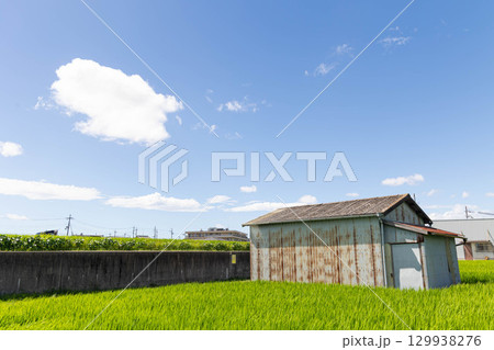 晴天で小屋のある田園風景 晴天で小屋のある田園風景 129938276