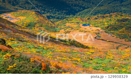 栗駒山の紅葉(龍泉ヶ原) 栗駒山の紅葉(龍泉ヶ原) 129938329