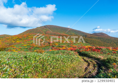 秋の栗駒山登山（栗駒山～秣岳 ： 栗駒山方面の眺め） 129938401