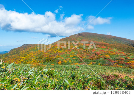 秋の栗駒山登山（栗駒山～秣岳 ： 栗駒山方面の眺め） 129938403
