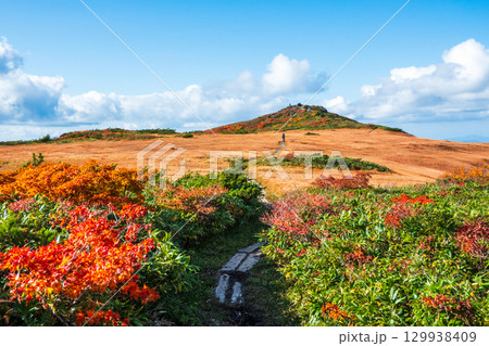 秋の栗駒山登山(栗駒山~秣岳:しろがね湿原) 秋の栗駒山登山(栗駒山~秣岳:しろがね湿原) 129938409