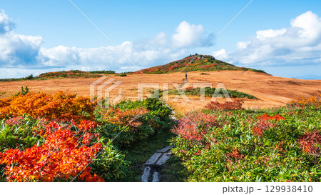 秋の栗駒山登山(栗駒山~秣岳:しろがね湿原) 秋の栗駒山登山(栗駒山~秣岳:しろがね湿原) 129938410