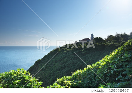 島根県松江市の夜明け前の美保関灯台 129938497