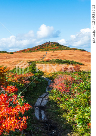 秋の栗駒山登山(栗駒山~秣岳:しろがね湿原) 秋の栗駒山登山(栗駒山~秣岳:しろがね湿原) 129938513