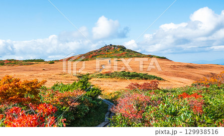 秋の栗駒山登山（栗駒山～秣岳：しろがね湿原） 129938516