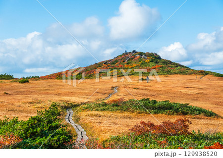 秋の栗駒山登山（栗駒山～秣岳：しろがね湿原） 129938520