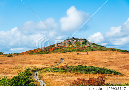 秋の栗駒山登山(栗駒山~秣岳:しろがね湿原) 秋の栗駒山登山(栗駒山~秣岳:しろがね湿原) 129938547
