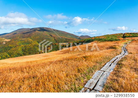 秋の栗駒山登山（栗駒山～秣岳：しろがね湿原から栗駒山の眺め） 129938550