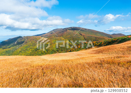 秋の栗駒山登山（栗駒山～秣岳：しろがね湿原から栗駒山の眺め） 129938552