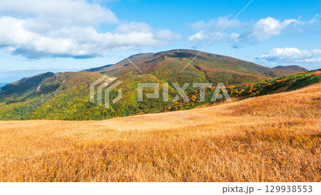 秋の栗駒山登山（栗駒山～秣岳：しろがね湿原から栗駒山の眺め） 129938553