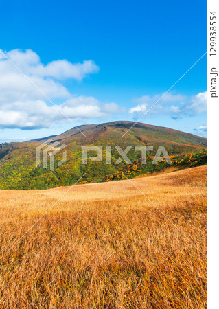 秋の栗駒山登山（栗駒山～秣岳：しろがね湿原から栗駒山の眺め） 129938554
