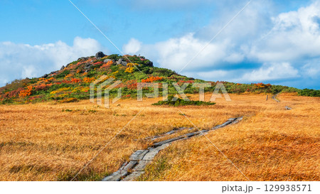 秋の栗駒山登山(栗駒山~秣岳:しろがね湿原) 秋の栗駒山登山(栗駒山~秣岳:しろがね湿原) 129938571