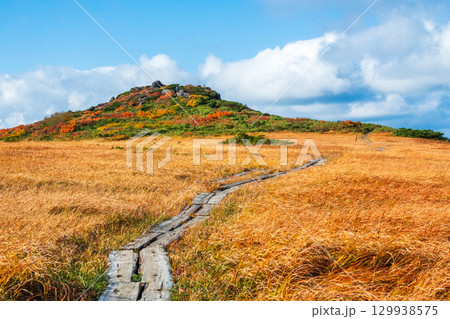 秋の栗駒山登山(栗駒山~秣岳:しろがね湿原) 秋の栗駒山登山(栗駒山~秣岳:しろがね湿原) 129938575
