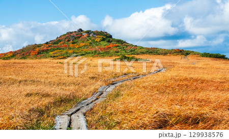 秋の栗駒山登山（栗駒山～秣岳：しろがね湿原） 129938576