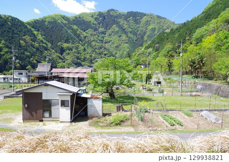 太田川河畔今井田地区の景色 129938821
