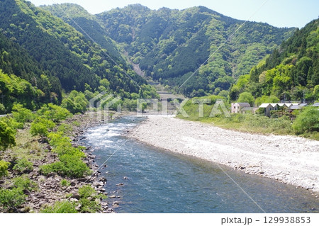 新緑の太田川河畔の景色 129938853