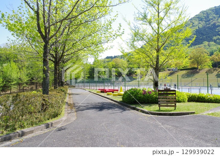 新緑の運動公園の景色 129939022
